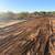 GRADING • LAND CLEARING • LEVELING • SITE PREP • AND MORE 10 thumbnail