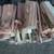 Red Cedar Aromatic Split Camp Firewood 5 thumbnail