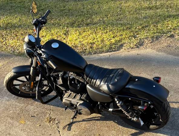 2021 Harley Sporter 883 1