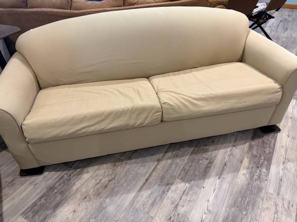 Sleeper Sofa- FREE 1