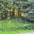 Hickory Hills Lot in Wisconsin Dells 4 thumbnail