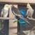Cockatiel for sale 5 thumbnail