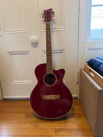 Jay Turser guitar 1