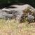 10.82 Acres in the Sierras - Seller Financing 10 thumbnail
