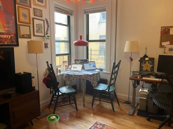 $1,750 / 1br - 700ft2 - BEAUTIFUL, FURNISHED 1 BR FOR 11/15-4/15 - MUST LOVE CATS (Brooklyn)64033801567363122