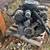 4.3 Chevrolet engine 1 thumbnail