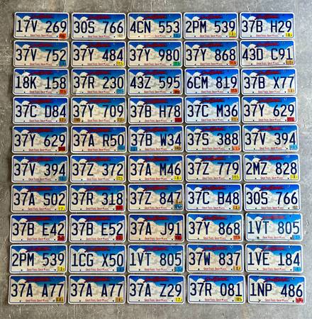 50 South Dakota License Plates - red white & blue 1