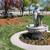 🌿✨ General Landscaping & Garden Cleaning – Tino's Landscape & Garden 7 thumbnail