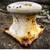 Old salvage or scrap dock bollard 2 thumbnail
