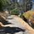 Martinez Lot over 6000 SF + free adjacent free  lot . 14 thumbnail