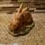 2 'Like New' Masterpiece Porcelain by Homco - $22 to $28 OR $46 Both 3 thumbnail
