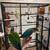 2 conures and cage 7 thumbnail