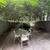 Extra Large Central Park 1 Bedroom 4 thumbnail