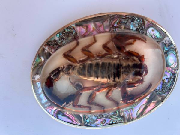 Storage Unit Clean Out Dec 22-Dec 30 1