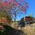 Tiny home for rent 1 thumbnail