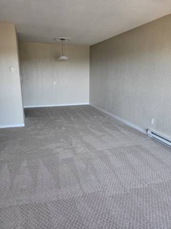 1Bedroom Apartment 4