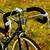 Mint 54CM Panasonic Sport 12 thumbnail