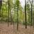 1355 Hunter Dr Ranger , GA 30705 3 thumbnail