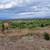 improved 40 acre "off-grid" homestead. 5 thumbnail