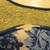 Lot of 7 Pioneer Woman Heritage Floral  Cobalt blue Plates 12 thumbnail