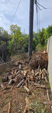 Free Firewood or landfill. 1