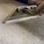 Carpet Cleaning in Sacramento and ALL Surrounding Area (916) 999-79-13 3 thumbnail