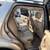 🚙 2001 Mercedes-Benz M-Class ML 430 AWD – V8 Power, Luxury SUV! 18 thumbnail