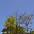 Custom AI Art, Fiction & Panama Landscapes: Your Vision, My Creation 8 thumbnail