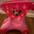 Minnie's Happy Helpers Bowtique Shopping Cart 3 thumbnail