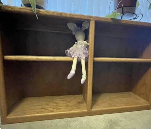 Wooden Bookshelf/ book case/ book shelves 1