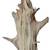 AUSTIN TX 32" DRIED WOOD Natural Decorative Sandblasted Branch 5 thumbnail