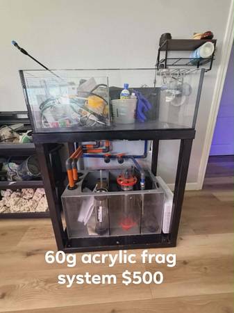 Frag/coral tank (Clever)