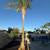 TREE SERVICE-TREE TRIMMING-STUMP GRINDING- TREE REMOVAL-ARBORIST - CLEAN UPS 6 thumbnail