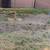 Sprinklers and drip systems 10 thumbnail
