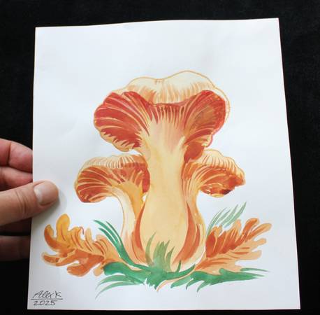 Original Spotted Mushroom Illustration - Hand-Signed 8x8 Watercolor & 1