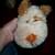 collectable PLUSH STUFFED ANIMAL child toy LOT Precious Moments TY 11 thumbnail
