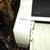 EPSON PRINTER 2 thumbnail