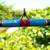 fishing rod for sale 1 thumbnail