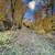 The Possibilities are Endless with this 4.5 Acre Lot 5 thumbnail