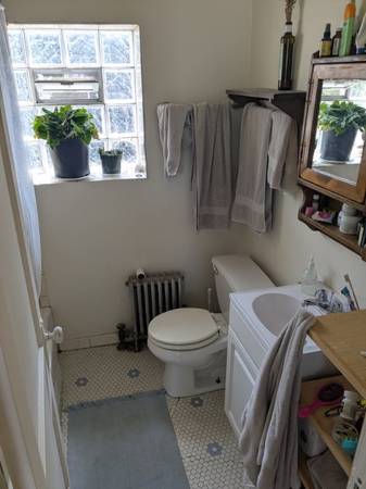 $1,725 / 2br - 1050ft2 - 2 Beds 1 Bath Apartment (Andersonville)63959877884931124