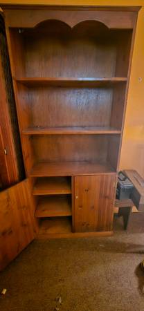 Wood cabinet with shelves 1