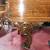 Beautiful rebuilt/refinished 1880 Knabe 7'5" grand piano 5 thumbnail