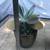 Flap Jack, zebra plant succulents & jade in 2 pretty clay pots 6 thumbnail