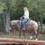 4yo Red Roan Missouri Foxtrotter Mare – For Sale 3 thumbnail
