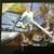 Flycraft Inflatable Fishing Boat: X fishing package 2 thumbnail
