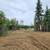 - Pending - Nearly one acre of cleared land just minutes from town 5 thumbnail