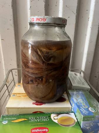 Kombucha Making Supplies 1