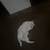 White cat with heterochromia 5 thumbnail
