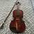15” viola 1 thumbnail
