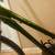21 Speed JAMIS CITIZEN 1 Hybrid Bicycle 14.5 inch frame 2 thumbnail